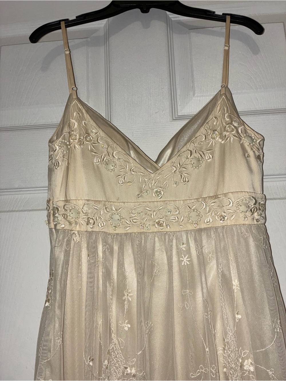 Sue Wong Embellished Champagne Mesh Embroidered Slip Dress - Picture 8 of 13